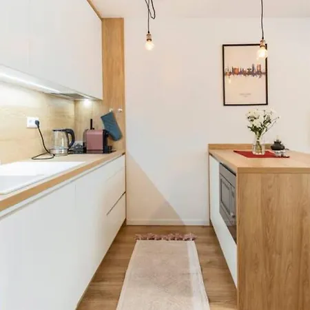 New With Free Parking In A Garage 布拉迪斯拉发